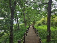 지리산 둘레길 18코스-(오미~용두~구례읍~연파~구만~온동-난동)-250517 - 전라도 - 안드로이드 gps & earth 안드로이드 gps & earth