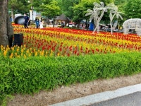 산정호수 - §…회원사진방…§ - ◈---성민복지관---◈ 산정호수