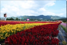 철원맨드래미 - §…이춘택님…§ - ◈---성민복지관---◈ 철원맨드래미