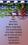 00 - §…회원사진방…§ - ◈---성민복지관---◈ 00