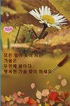 가을인사3 - §…최명자님…§ - ◈---성민복지관---◈ 가을인사3