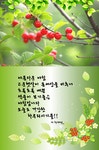 장인경헤어샵 | 앵두 - §…장인경님…§ - ◈---성민복지관---◈ 앵두