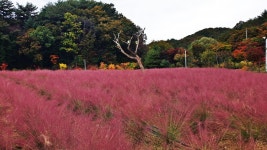 ♣ 평강랜드 ♣ - §…회원사진방…§ - ◈---성민복지관---◈ ♣ 평강랜드 ♣