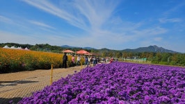 나리농원 - §…멋진그림방…§ - ◈---성민복지관---◈ 나리농원