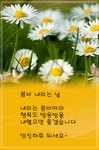 봄비 내리는 날 - §…이동우님…§ - ◈---성민복지관---◈ 봄비 내리는 날