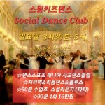 [분당쇼셜댄스클럽]스윙키즈댄스 지터벅 &리듬댄스 &블루스 일요일 수업안내 - ·······외부홍보알림 - 리세움 댄스스포츠 [분당쇼셜댄스클럽]... 