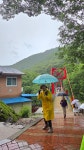 7월19일 고원길 9코스(운일암 반일암길)를 걸었다 - 자유게시판 - 진안고원길 7월19일 고원길 9코스(운일암 반일암길)를 걸었다