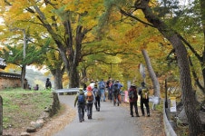 [사진] 2021 바이고서 6차. 10/30. 3 - 바람 이는 고원길에 서다 - 진안고원길 [사진] 2021 바이고서 6차. 10/30. 3
