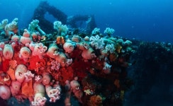 2025년07월05일 화진 투어사진 - ▣ 투어 사진 - 인 스쿠버 2025년07월05일 화진 투어사진