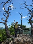 청량산 산행기 - 산행/여행/건강 - 대구청산산악회1 대구청산산악회1