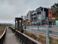 [번개-별미산행] 2026.4.4(토) 영광 백수해안도로. 노을길(8.4km) 2 - 번개산행 사진방 - 광주 샛별 산악회 광주 샛별 산악회