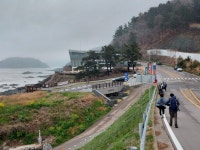 [번개-별미산행] 2026.4.4(토) 영광 백수해안도로. 노을길(8.4km) 1 - 번개산행 사진방 - 광주 샛별 산악회 광주 샛별 산악회