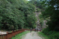 제 233차 장안산 덕산계곡 트레킹 - ◆▶-◆ 정기산행 신청방 - 전주어울림산악회 제 233차 장안산 덕산계곡 트레킹