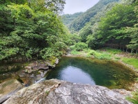 제 233차 장안산 덕산계곡 트레킹 - ◆▶-◆ 정기산행 신청방 - 전주어울림산악회 제 233차 장안산 덕산계곡 트레킹