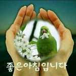 06월22일 일요일 - 톡톡 오늘을 열어요. - 김해산타산악회 06월22일 일요일