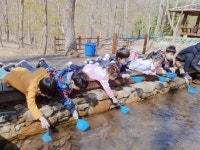 (4/8)한천 유아숲체험 ~♡^^ - 2022 열매반(3,4,5세) - 국공립 화순 천재어린이집 (4/8)한천 유아숲체험 ~♡^^
