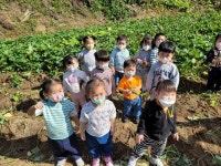 고구마 캐기~❤️🔥 - 2022 새싹반(1세) - 국공립 화순 천재어린이집 고구마 캐기~❤️‍🔥