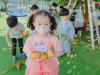 (10/6) 감따요 감~!맛있는 단감~♡^^ - 2022 열매반(3,4,5세) - 국공립 화순 천재어린이집 (10/6) 감따요 감~!맛있는 단감~♡^^