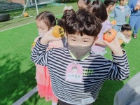 (10/6) 감따요 감~!맛있는 단감~♡^^ - 2022 열매반(3,4,5세) - 국공립 화순 천재어린이집 (10/6) 감따요 감~!맛있는 단감~♡^^