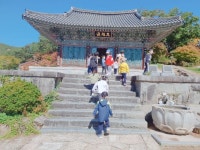 (10/14) 지질수업-운주사~♡^^ - 2022 열매반(3,4,5세) - 국공립 화순 천재어린이집 (10/14) 지질수업-운주사~♡^^