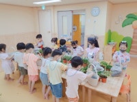 (6/23)공기정화식물 화분 만들기~♡^^ - 2022 열매반(3,4,5세) - 국공립 화순 천재어린이집 (6/23)공기정화식물 화분 만들기~♡^^