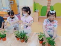 (6/23)공기정화식물 화분 만들기~♡^^ - 2022 열매반(3,4,5세) - 국공립 화순 천재어린이집 (6/23)공기정화식물 화분 만들기~♡^^
