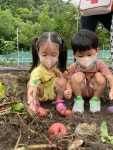 감자캐러 다녀왔어요! - 2022 잎새1반(2세) - 국공립 화순 천재어린이집 감자캐러 다녀왔어요!