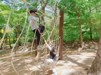 (6/3)한천숲체험활동~♡^^ - 2022 열매반(3,4,5세) - 국공립 화순 천재어린이집 (6/3)한천숲체험활동~♡^^