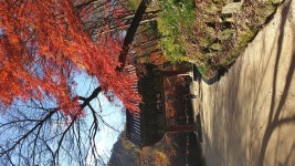 순창 강천산 군립공원 구름다리 와 강천사 - 카페회원 휴게실 - 코리아나항공 클럽 순창 강천산 군립공원 구름다리 와 강천사