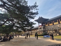 경주 불국사 ♤ 보문단지 - 아름다운 우리강산 풍경 인물 ... - 코리아나항공 클럽 경주 불국사 ♤ 보문단지