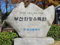 부산 화명 수목원 - 아름다운 우리강산 풍경 인물 ... - 코리아나항공 클럽 부산 화명 수목원 