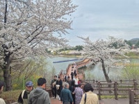 경주 불국사 ♤ 보문단지 - 아름다운 우리강산 풍경 인물 ... - 코리아나항공 클럽 경주 불국사 ♤ 보문단지