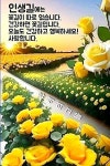 행운은 부지런한곳에,,, - 카페회원 휴게실 - 코리아나항공 클럽 행운은 부지런한곳에,,,