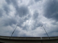 2019년 1530걷기대회 화명생태공원 - 일반 게시판 - 금정구 보건소 스마일 걷기 동아리(걷기 좋은 날) 2019년 1530걷기대회 화명생태공원