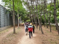 2019년 1530걷기대회 화명생태공원 - 일반 게시판 - 금정구 보건소 스마일 걷기 동아리(걷기 좋은 날) 2019년 1530걷기대회 화명생태공원