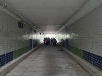 2019년 1530걷기대회 화명생태공원 - 일반 게시판 - 금정구 보건소 스마일 걷기 동아리(걷기 좋은 날) 2019년 1530걷기대회 화명생태공원