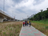 2019년 1530걷기대회 화명생태공원 - 일반 게시판 - 금정구 보건소 스마일 걷기 동아리(걷기 좋은 날) 2019년 1530걷기대회 화명생태공원