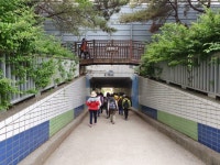 2019년 1530걷기대회 화명생태공원 - 일반 게시판 - 금정구 보건소 스마일 걷기 동아리(걷기 좋은 날) 2019년 1530걷기대회 화명생태공원