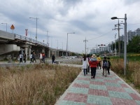 2019년 1530걷기대회 화명생태공원 - 일반 게시판 - 금정구 보건소 스마일 걷기 동아리(걷기 좋은 날) 2019년 1530걷기대회 화명생태공원