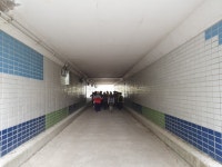 2019년 1530걷기대회 화명생태공원 - 일반 게시판 - 금정구 보건소 스마일 걷기 동아리(걷기 좋은 날) 2019년 1530걷기대회 화명생태공원