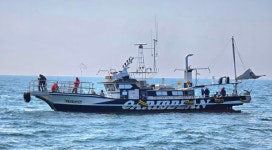 캐리비안호 2025년 참돔시즌 마무리 합니다. - ─‥‥‥참돔조황정보 - 군산 캐리비안호 캐리비안호 2025년 참돔시즌 마무리 합니다.