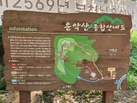 경기 가평 자라섬과 운악산출렁다리를 다녀오다. - 사진***영상 - 7M(Seven Mountain)산악회 경기 가평 자라섬과 운악산출렁다리를 다녀오다.