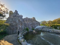 경기 군포시 수리산철쭉동산과 초막골생태공원을 다녀오다. - 둘레길트레킹 - 7M(Seven Mountain)산악회 경기 군포시 수리산철쭉동산과... 