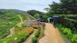 전북 고창읍성 성곽길을 걷다. - 둘레길트레킹 - 7M(Seven Mountain)산악회 전북 고창읍성 성곽길을 걷다.