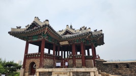 경기 수원시 수원화성 클린봉사활동을 다녀오다. - 둘레길트레킹 - 7M(Seven Mountain)산악회 경기 수원시 수원화성 클린봉사활동을 다녀오다.