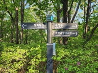 경기 군포시 수리산철쭉동산과 초막골생태공원을 다녀오다. - 둘레길트레킹 - 7M(Seven Mountain)산악회 경기 군포시 수리산철쭉동산과... 