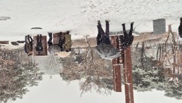 무공수훈자공적비 정화활동 - 대덕구지회 - 대한민국무공수훈자회대전광역시지부 무공수훈자공적비 정화활동