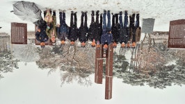 무공수훈자공적비 정화활동 - 대덕구지회 - 대한민국무공수훈자회대전광역시지부 무공수훈자공적비 정화활동