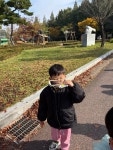 숲체험 이야기 - 향기반 - 알찬어린이집 숲체험 이야기