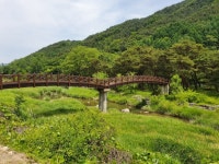 경남 함양의 선비길-2 - 19년-6월 함양 선비길 - 서천 금강 산악회 경남 함양의 선비길-2